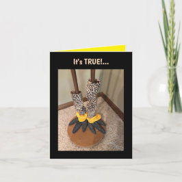 Het leven is te kort... gevouwen Wenskaart Kaart