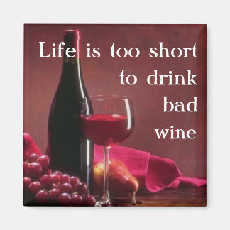 Het leven is te kort Magnet