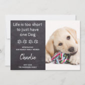 Het leven is te kort voor slechts één hond nieuwe  aankondiging (Voorkant)