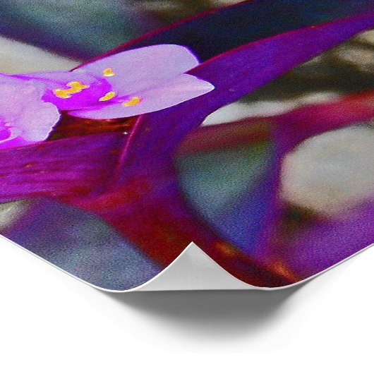 Het leven is vandaag goed! poster (Hoek)