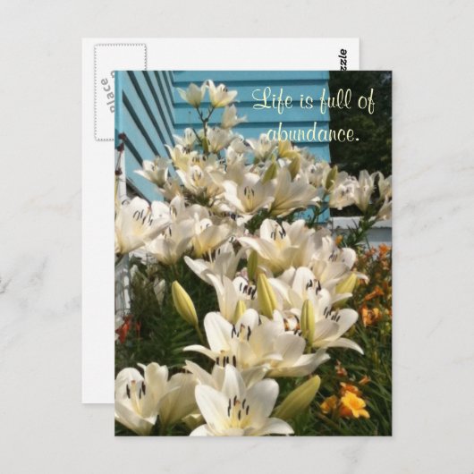 Het leven is vol overvloed, Dag Lily Briefkaarten (Voorkant / Achterkant)