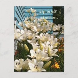 Het leven is vol overvloed, Daglelie-ansichtkaarte Briefkaart