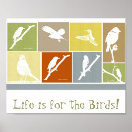 Het leven is voor het poster vogels