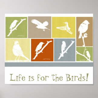 Het leven is voor het poster vogels