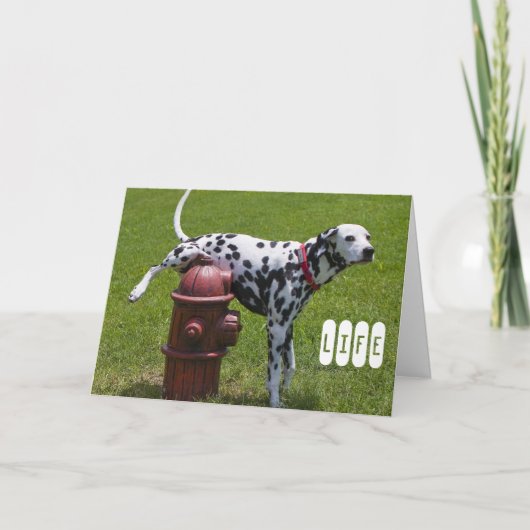 Het LEVEN Kaart (Voorkant)