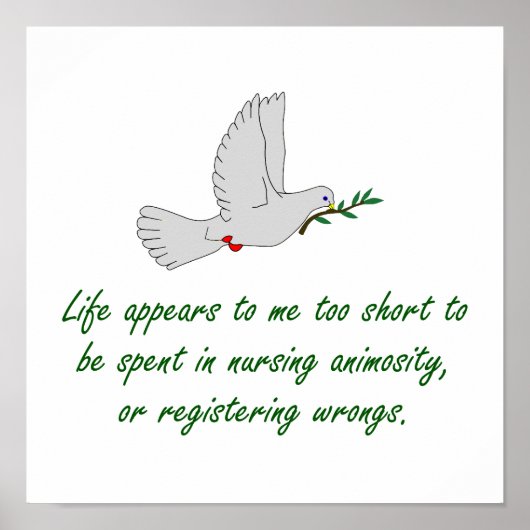 Het leven lijkt me te kort - vergiffenissen poster (Voorkant)