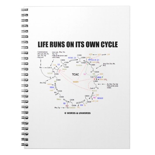 Het leven loopt op zijn eigen cyclus Krebs Cycle H Notitieboek (Voorkant)