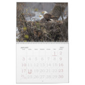 HET LEVEN VAN DE KALE AREND KALENDER (Jan 2027)