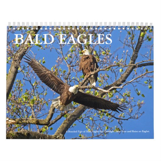 HET LEVEN VAN DE KALE AREND KALENDER (Hoes)