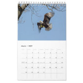HET LEVEN VAN DE KALE AREND KALENDER (Mar 2027)