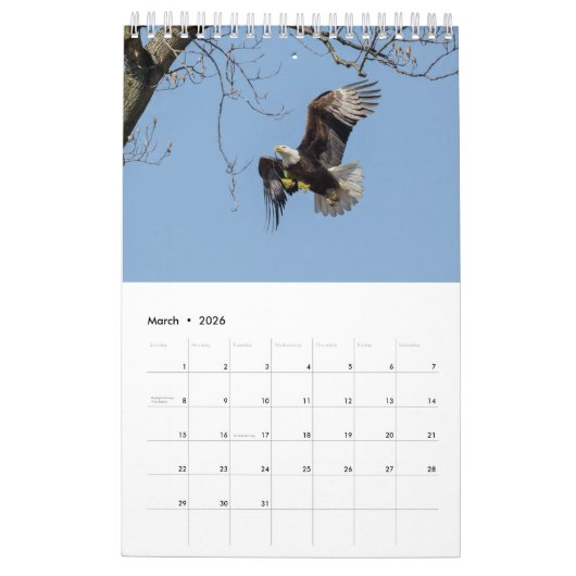 HET LEVEN VAN DE KALE AREND KALENDER (Mar 2026)