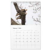 HET LEVEN VAN DE KALE AREND KALENDER (Feb 2026)