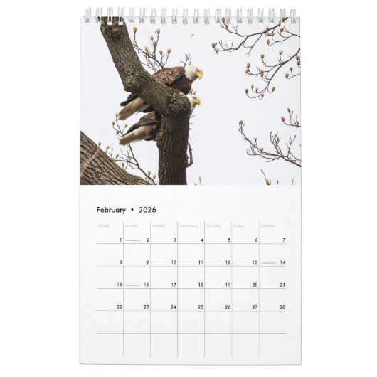 HET LEVEN VAN DE KALE AREND KALENDER (Feb 2026)