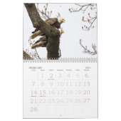 HET LEVEN VAN DE KALE AREND KALENDER (Feb 2027)