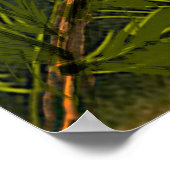 Het Leven van de Natuur van het noordwesten met Di Poster (Hoek)