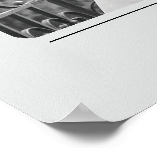 Het leven van de partij - De witte lotus Poster (Hoek)