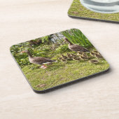 Het leven van Duck. Bier Onderzetter (Linkerzijde)