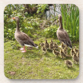 Het leven van Duck. Bier Onderzetter (Voorkant)