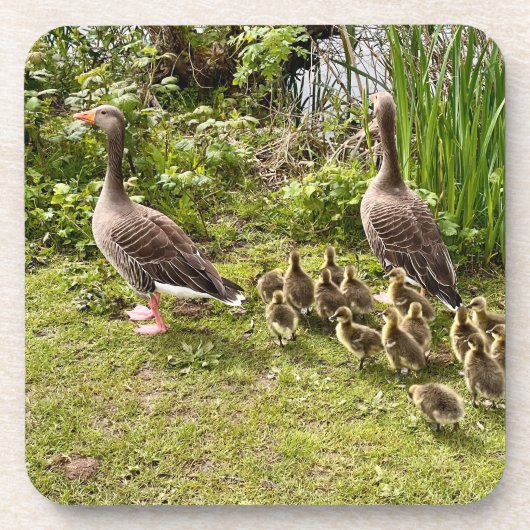 Het leven van Duck. Bier Onderzetter (Voorkant)