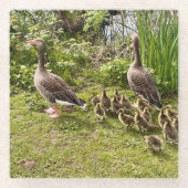 Het leven van Duck. Glazen Onderzetter (Voorkant)