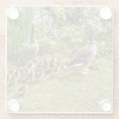 Het leven van Duck. Glazen Onderzetter (Achterkant)