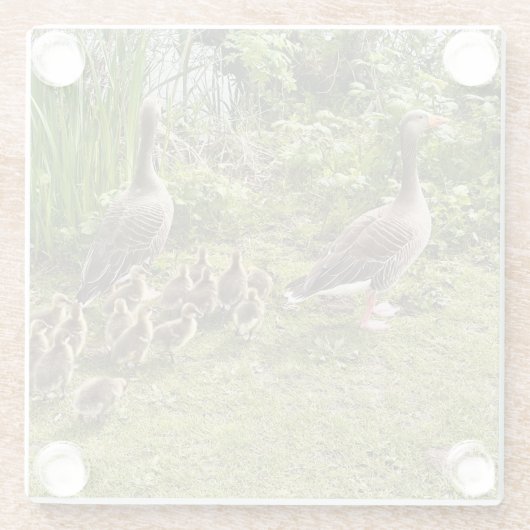 Het leven van Duck. Glazen Onderzetter (Achterkant)