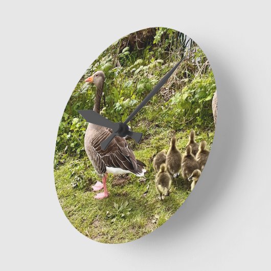 Het leven van Duck. Ronde Klok (Hoek)