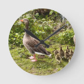 Het leven van Duck. Ronde Klok (Voorkant)