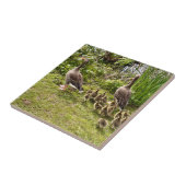 Het leven van Duck. Tegeltje (Zijkant)