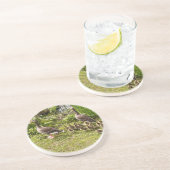 Het leven van Duck. Zandsteen Onderzetter (Zijkant)