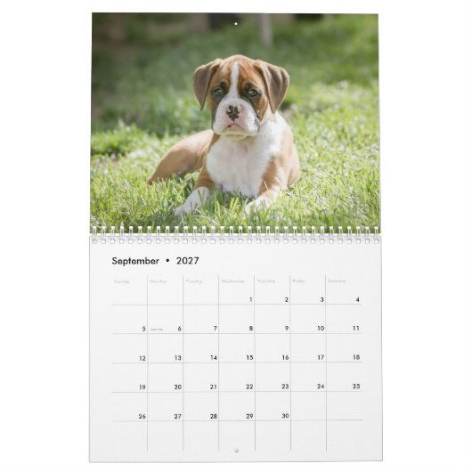 Het leven van een Boxer Dog - Cute Boxer Puppies Kalender (Sep 2027)