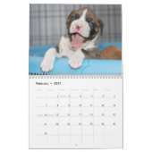 Het leven van een Boxer Dog - Cute Boxer Puppies Kalender (Feb 2027)