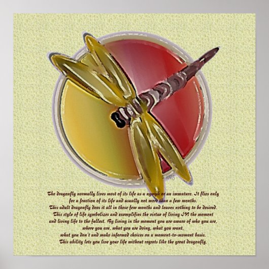 Het leven van een Dragonfly-Poster Poster (Voorkant)
