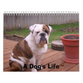 Het leven van een hond kalender (Hoes)