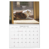 Het leven van een hond kalender (Feb 2027)