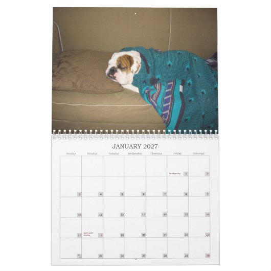 Het leven van een hond kalender (Jan 2027)