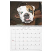 Het leven van een hond kalender (Mar 2027)