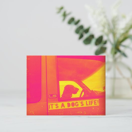 Het leven van een hond Post Kaart (Staand voorkant)