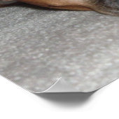 Het leven van een hond poster (Hoek)