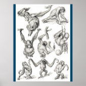 Het leven van een jonge orang-oetan poster (Voorkant)