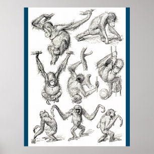 Het leven van een jonge orang-oetan poster