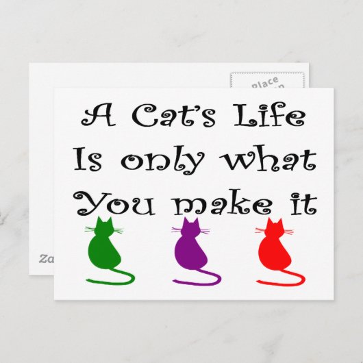Het leven van een kat is alleen wat je maakt... briefkaart (Voorkant / Achterkant)