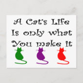 Het leven van een kat is alleen wat je maakt... briefkaart (Voorkant)