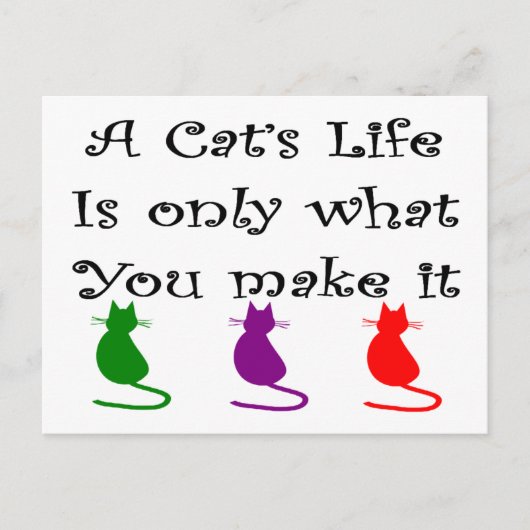Het leven van een kat is alleen wat je maakt... briefkaart (Voorkant)