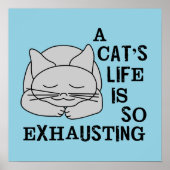 Het leven van een kat poster (Voorkant)