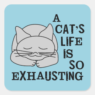 Het leven van een kat vierkante sticker