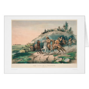 Het leven van een Trapper: A Sudden Halt (0877A)