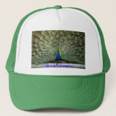 Het leven van het Pet van Peacock is vol verrassin (Voorkant)