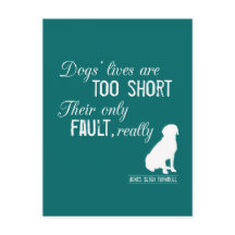 Het leven van honden is te kort, hun enige echte f