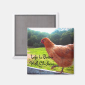 Het leven van kippen is beter magneet (Voorkant / Achterkant)